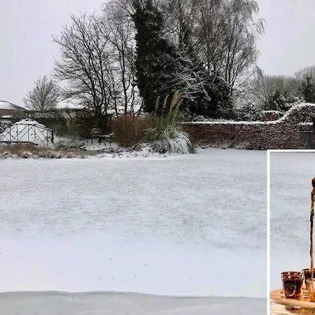 In Near Forest Trails