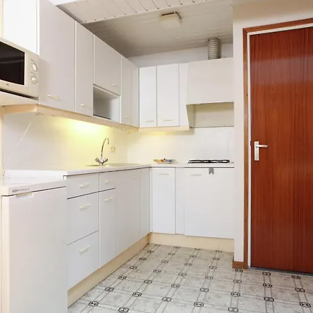 In Near Forest Trails