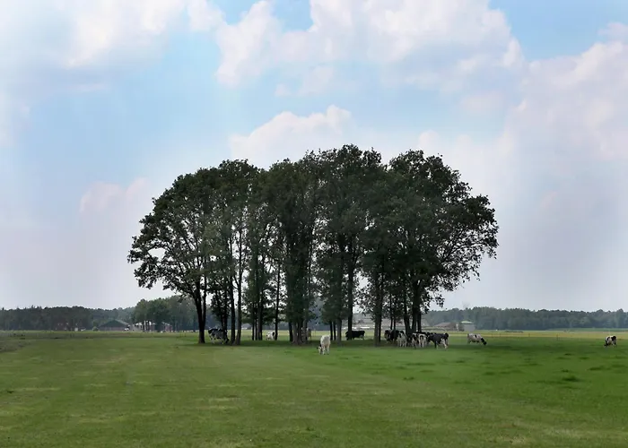 In Near Forest Trails 펜션 *