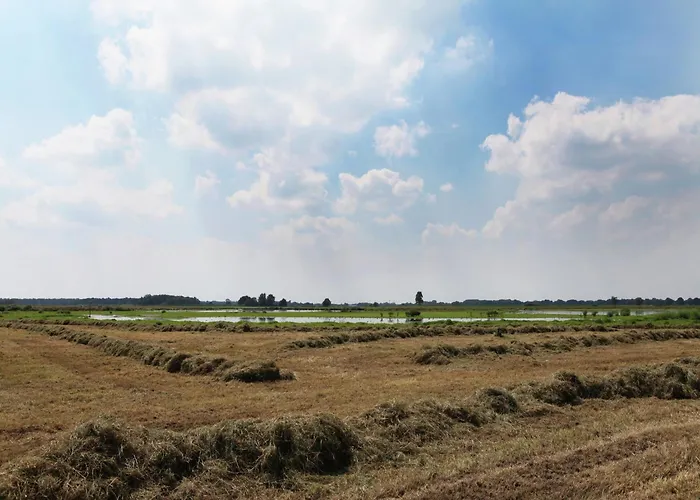 In Near Forest Trails 펜션