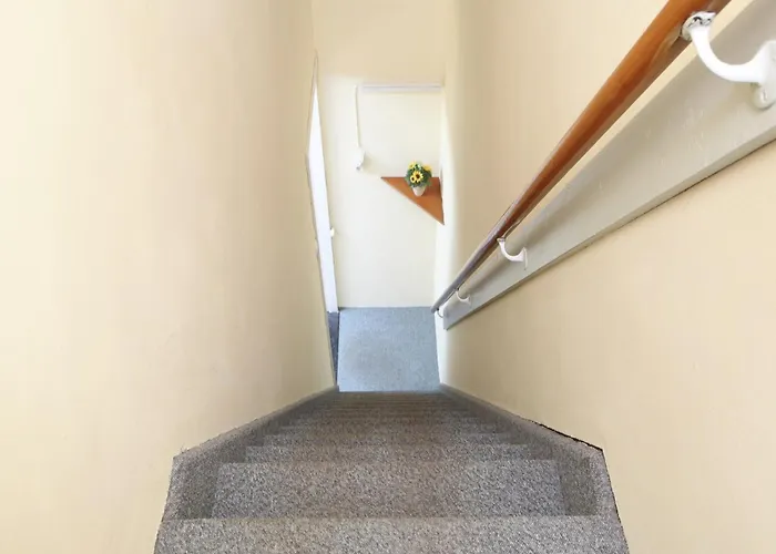 In Near Forest Trails Ulicoten