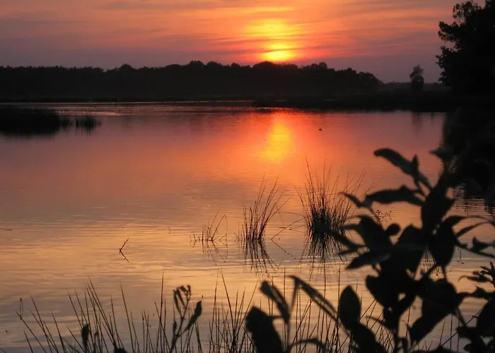 In Near Forest Trails 펜션 Ulicoten