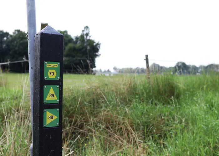 Holiday home In Near Forest Trails Ulicoten