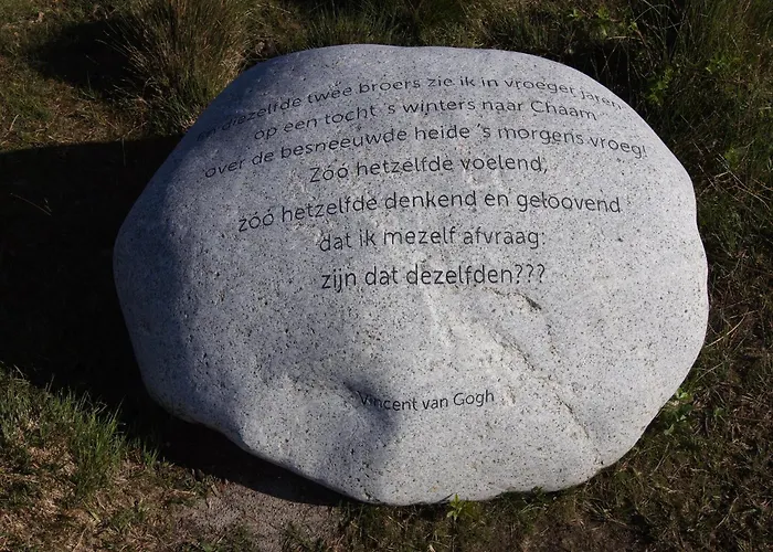 In Near Forest Trails * Ulicoten