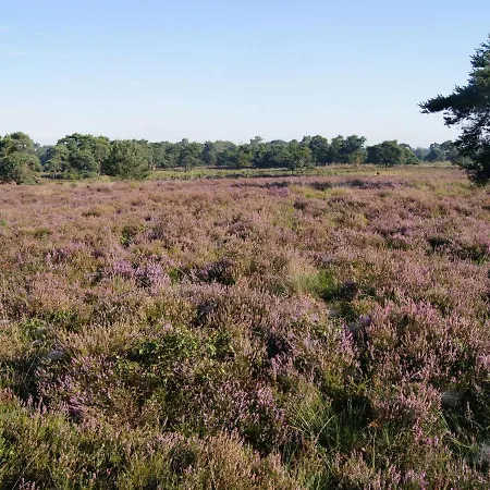 Tranquil Near Forest In With Terrace Ulicoten