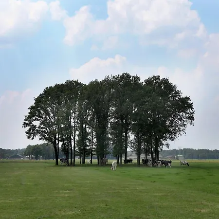 In Near Forest Trails Vakantiehuis *