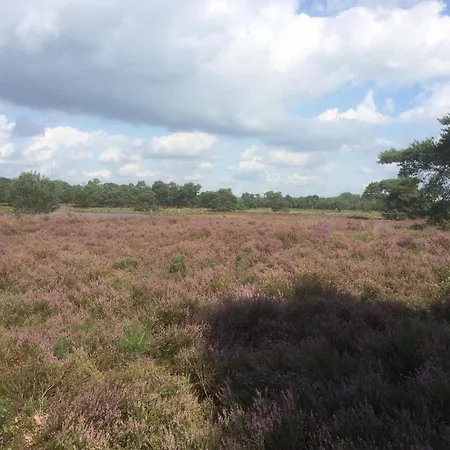 In Near Forest Trails Vakantiehuis Ulicoten