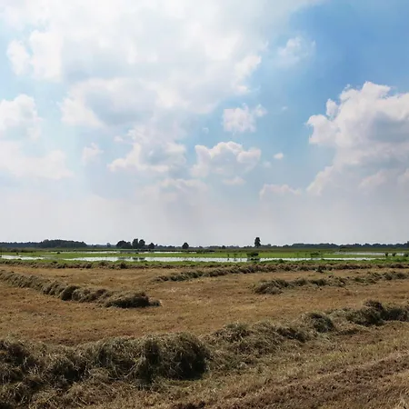 In Near Forest Trails Vakantiehuis