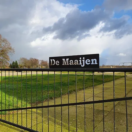 Vakantiehuis In Near Forest Trails Ulicoten