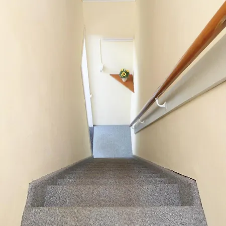 In Near Forest Trails Ulicoten