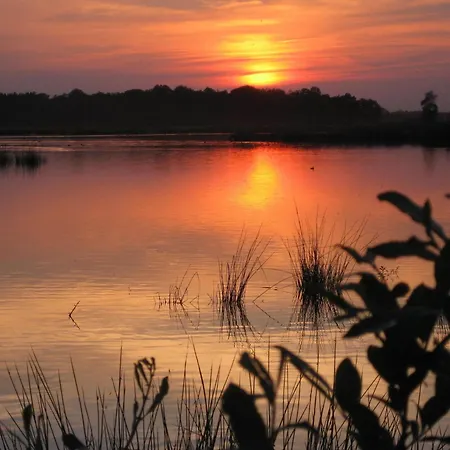 In Near Forest Trails Vakantiehuis Ulicoten