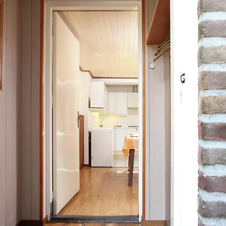 In Near Forest Trails *