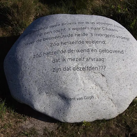 In Near Forest Trails * Ulicoten