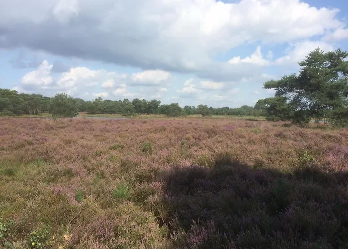 In Near Forest Trails Сasa de vacaciones Ulicoten