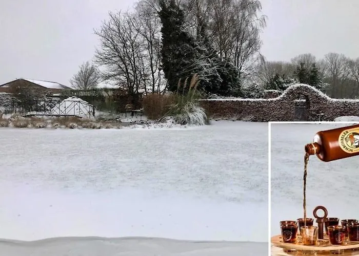 In Near Forest Trails