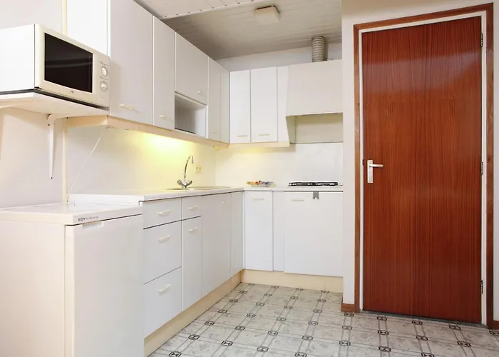 In Near Forest Trails